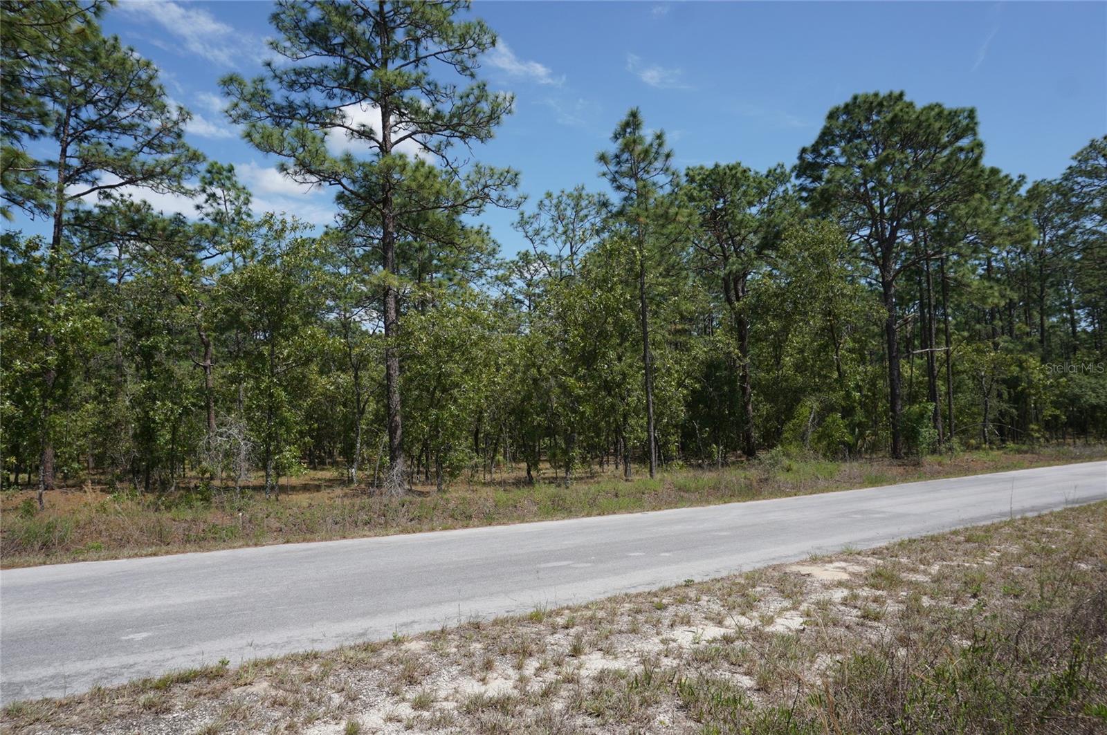 TBD NW TREE TOP RD, DUNNELLON, FL, 34431