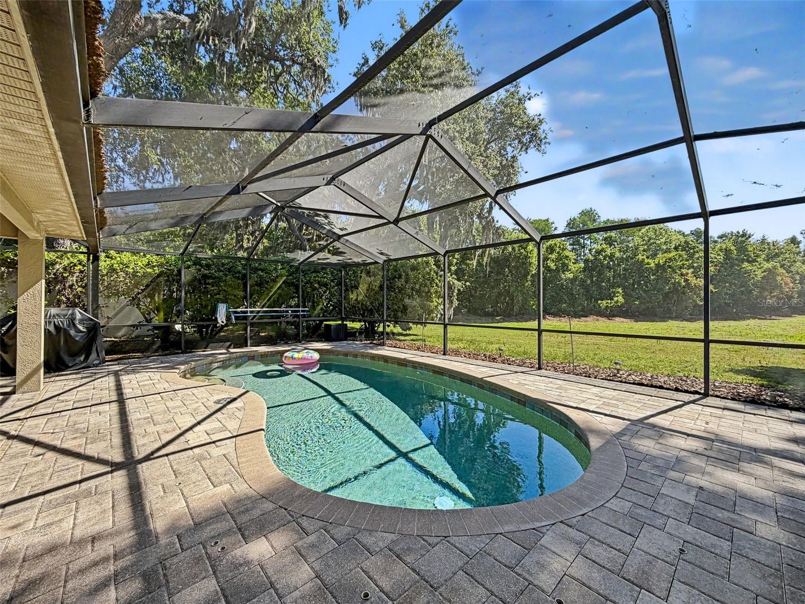 8435 BASUTO DR, TRINITY, FL, 34655