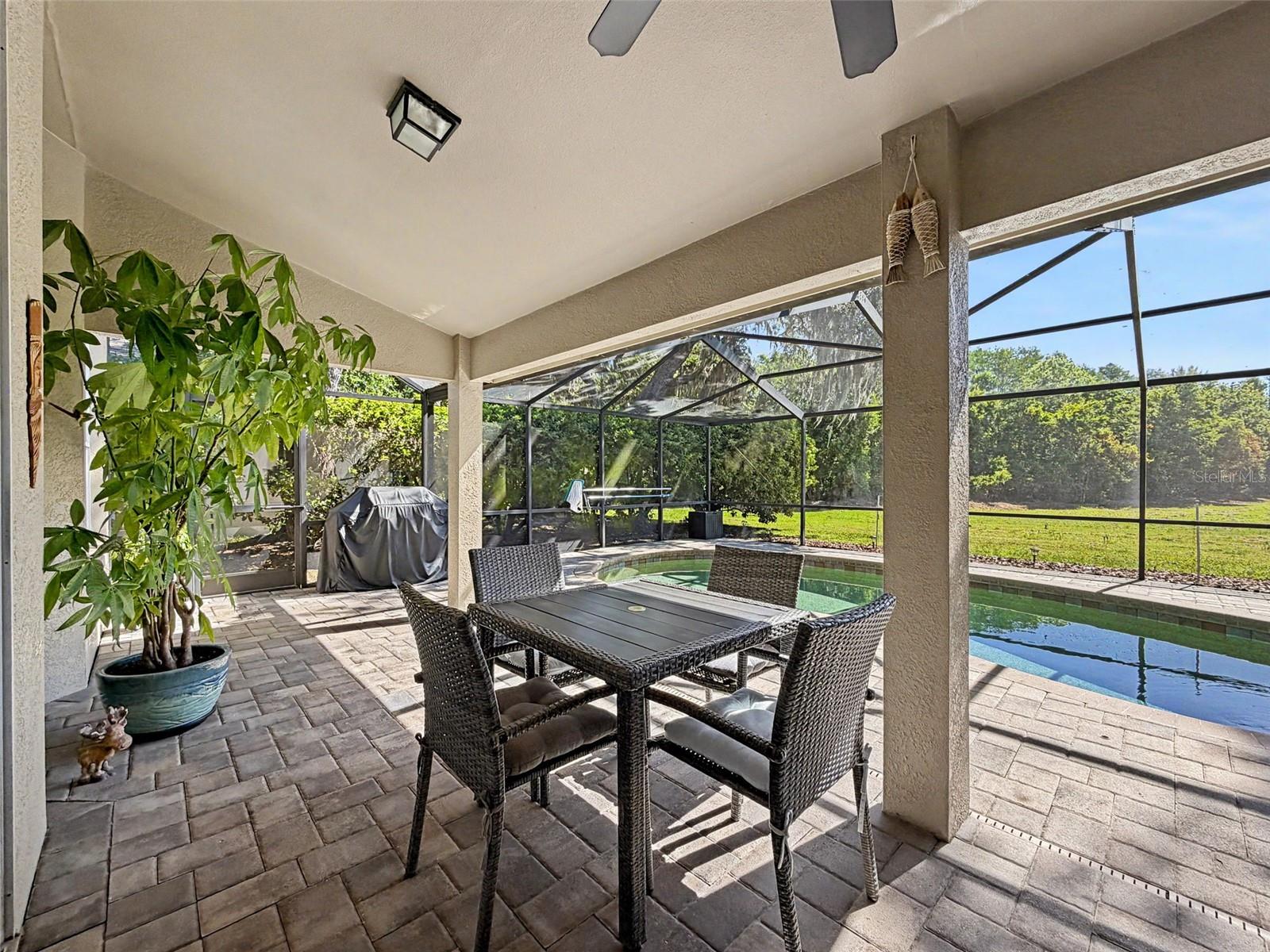 8435 BASUTO DR, TRINITY, FL, 34655