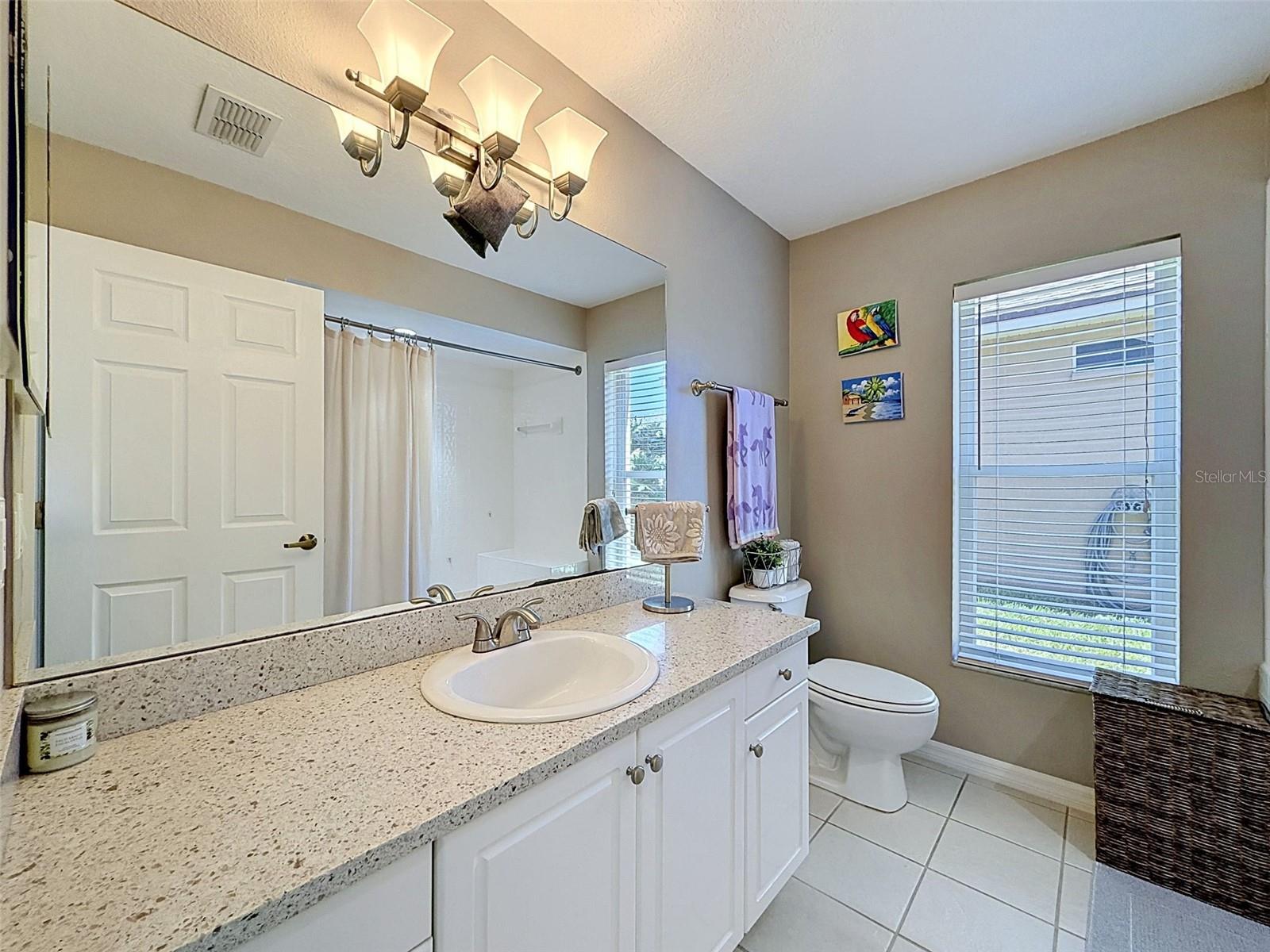 8435 BASUTO DR, TRINITY, FL, 34655