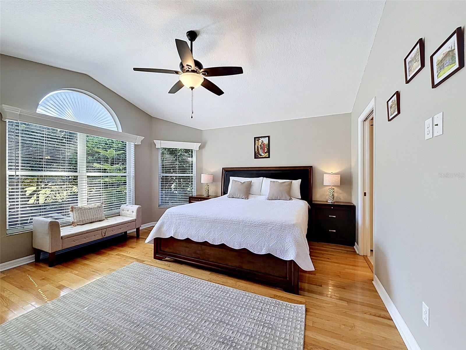 8435 BASUTO DR, TRINITY, FL, 34655