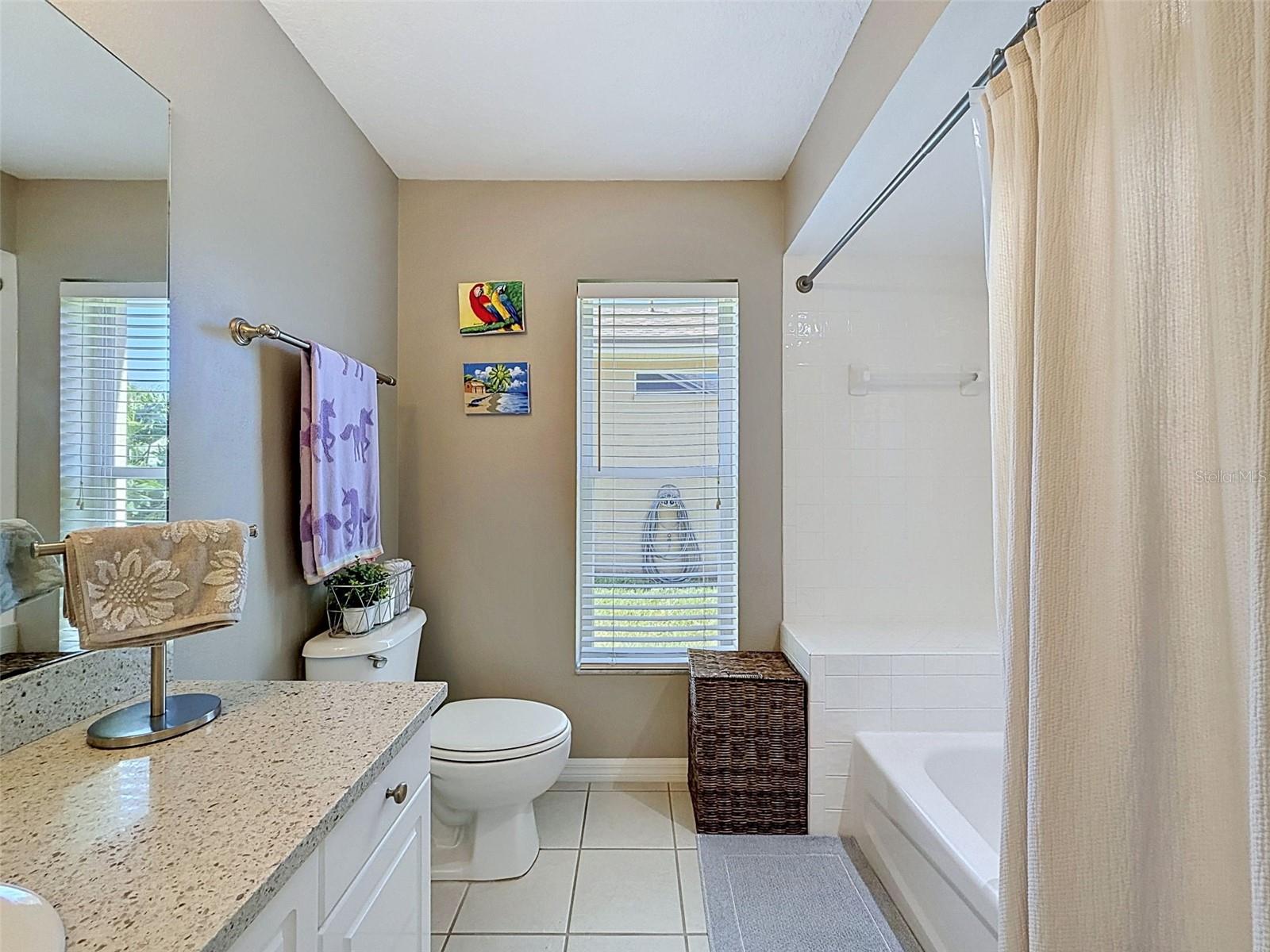 8435 BASUTO DR, TRINITY, FL, 34655
