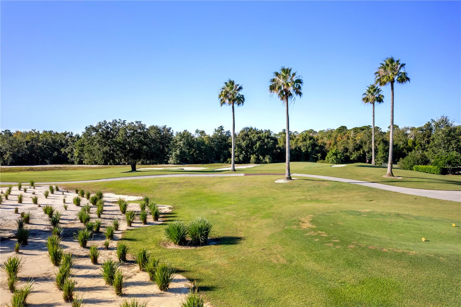 1188 CASTLE PINES CT, REUNION, FL, 34747