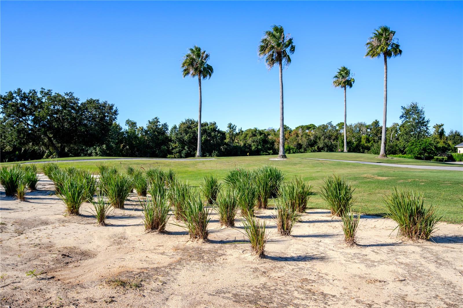 1188 CASTLE PINES CT, REUNION, FL, 34747
