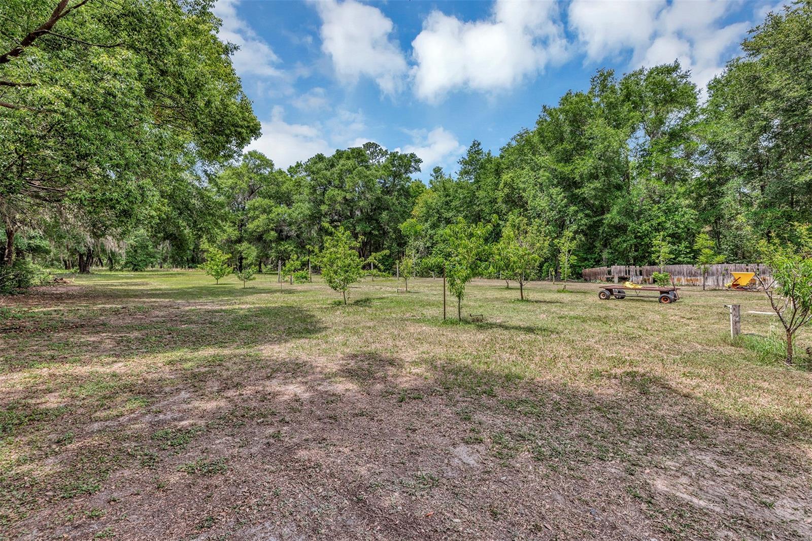 1124 USTLER RD, APOPKA, FL, 32712