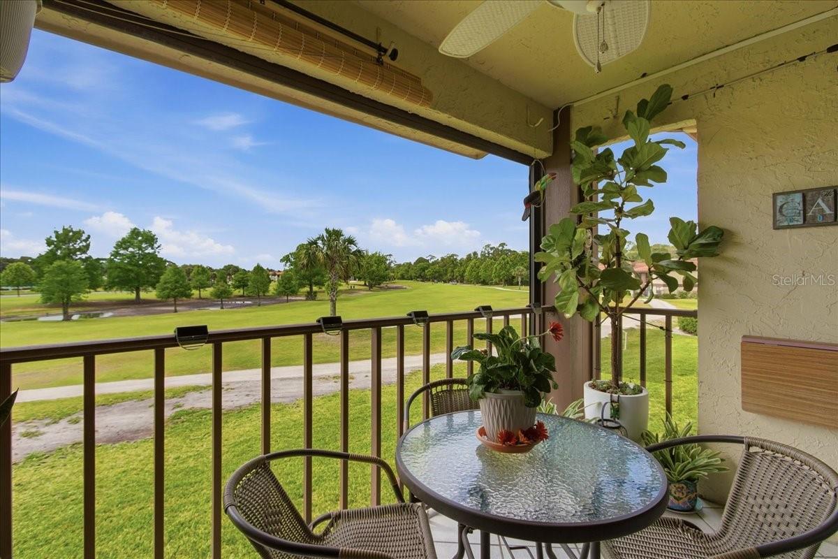 6111 LAKE POINTE DR #202, ORLANDO, FL, 32822