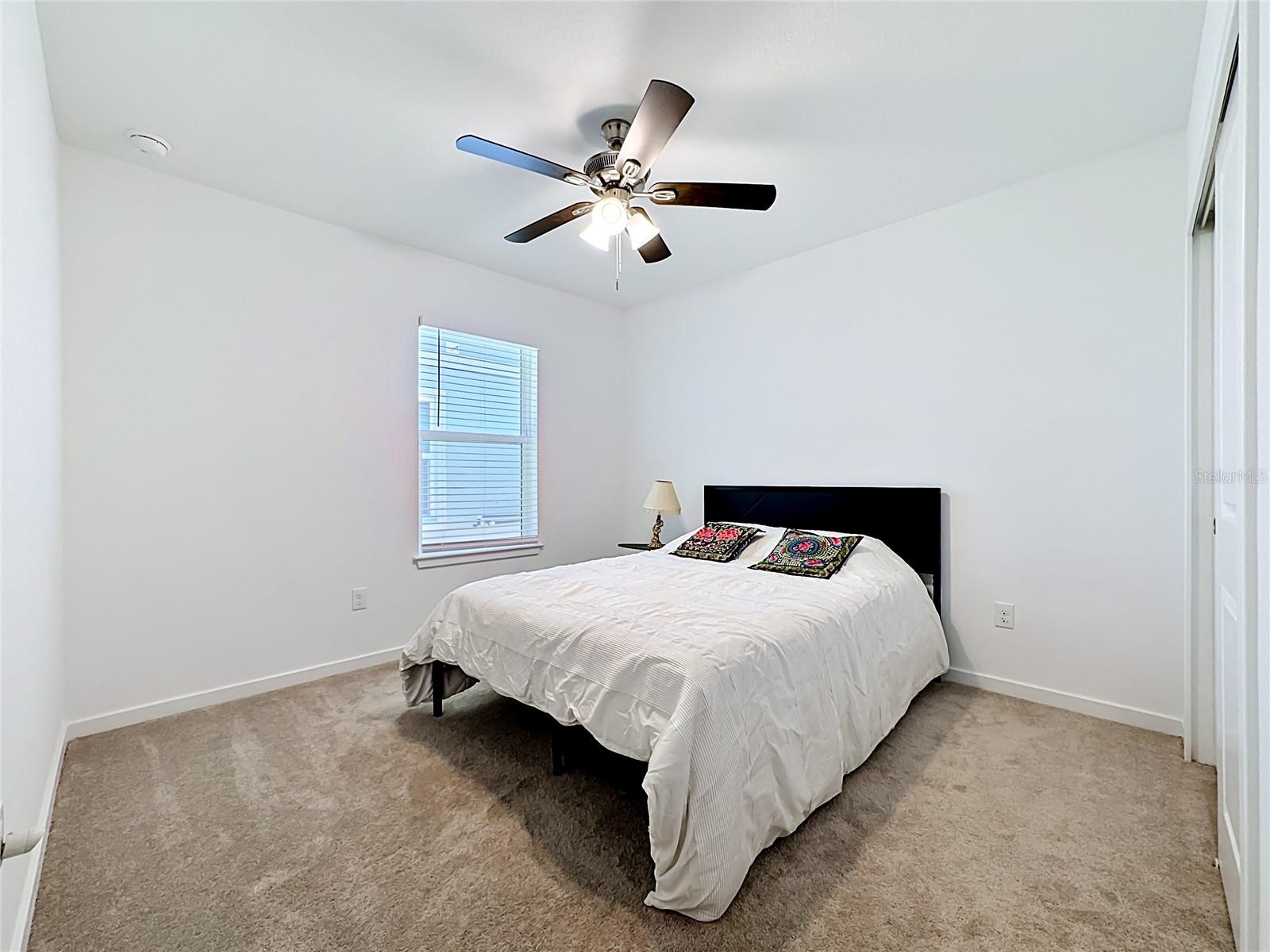 6080 JENSEN VIEW AVE, APOLLO BEACH, FL, 33572