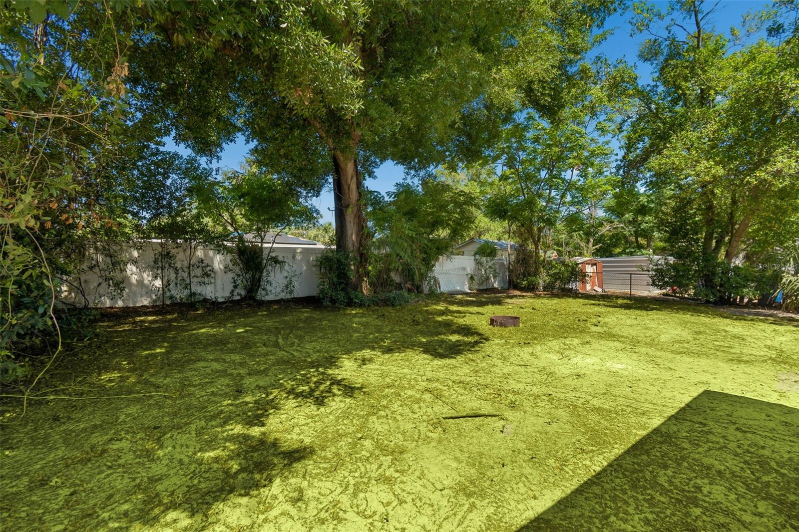 11206 N ARDEN AVE, TAMPA, FL, 33612