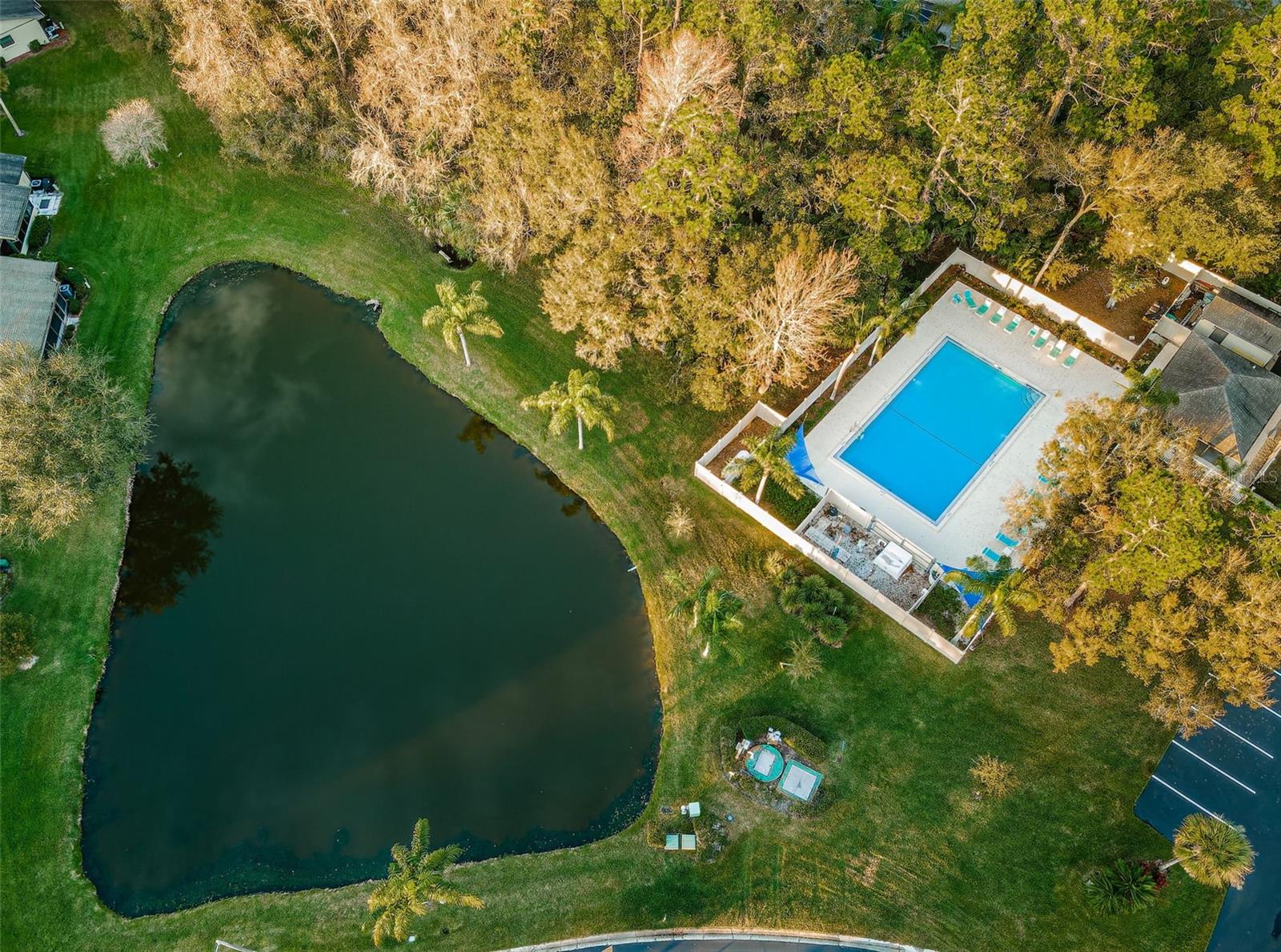 160 JAMES CT, OLDSMAR, FL, 34677