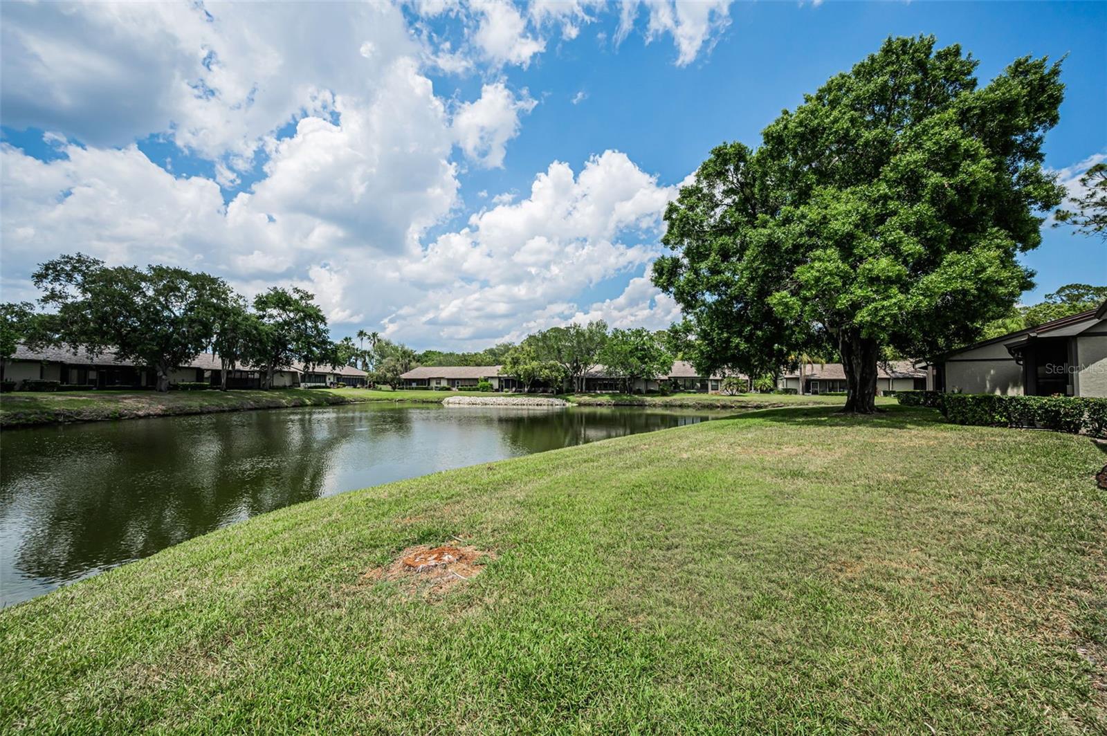 160 JAMES CT, OLDSMAR, FL, 34677