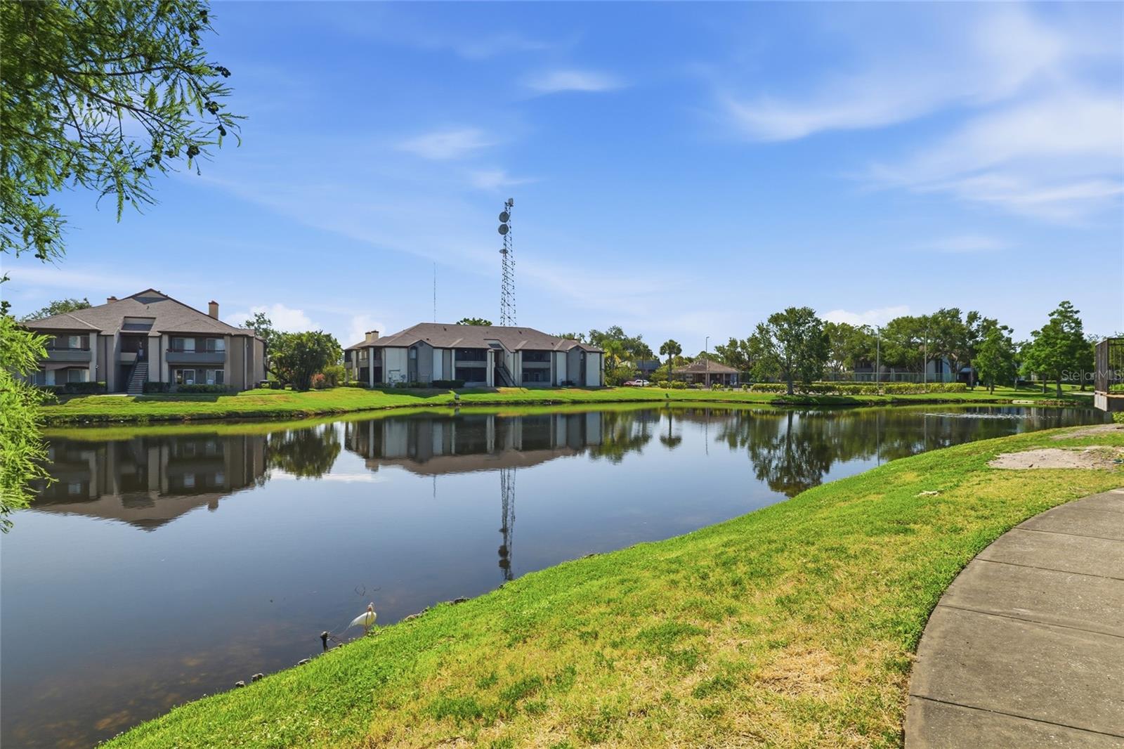 10265 GANDY BLVD N #1806, ST PETERSBURG, FL, 33702