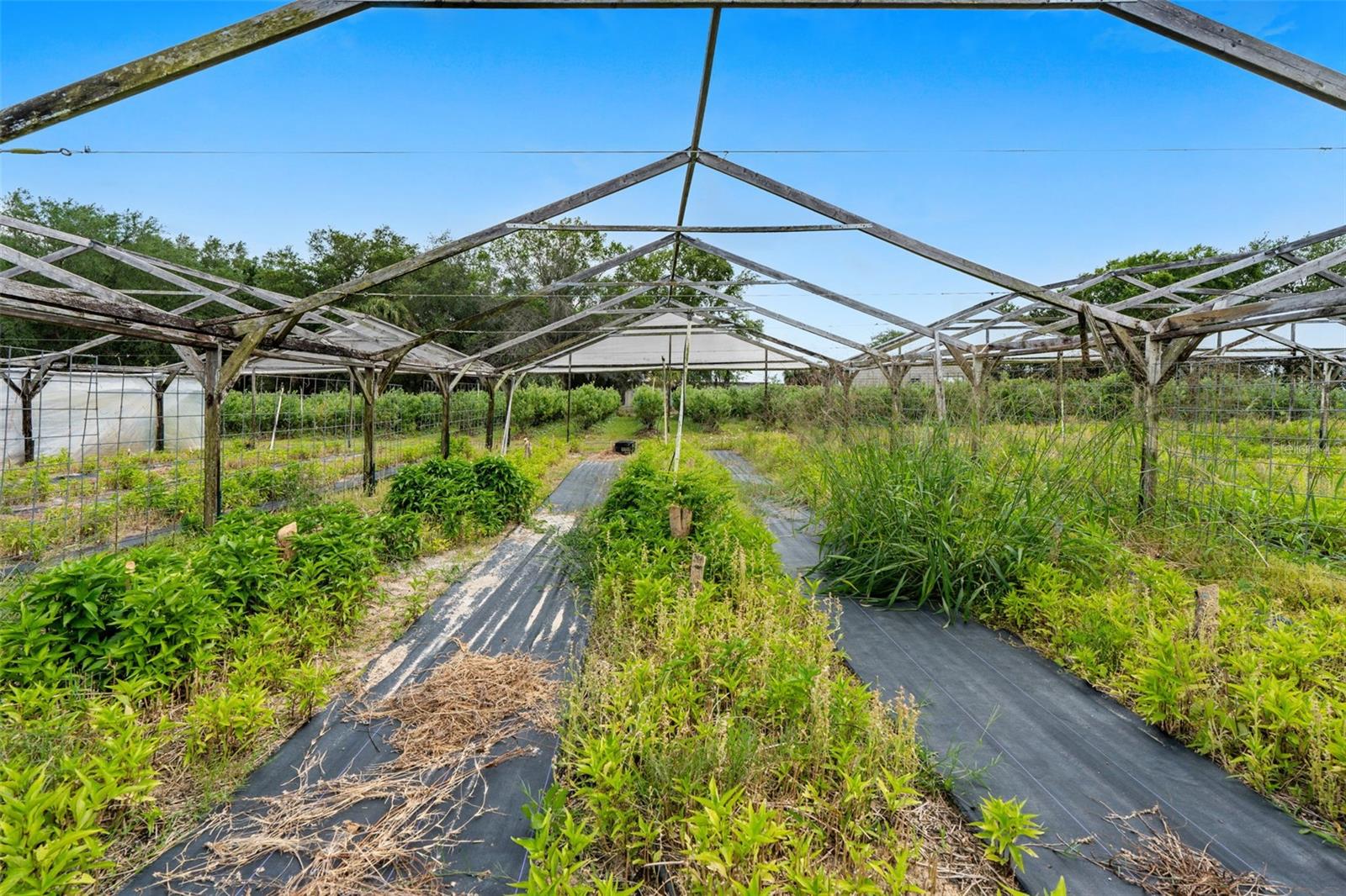 3510 WALK IN WATER RD, LAKE WALES, FL, 33898