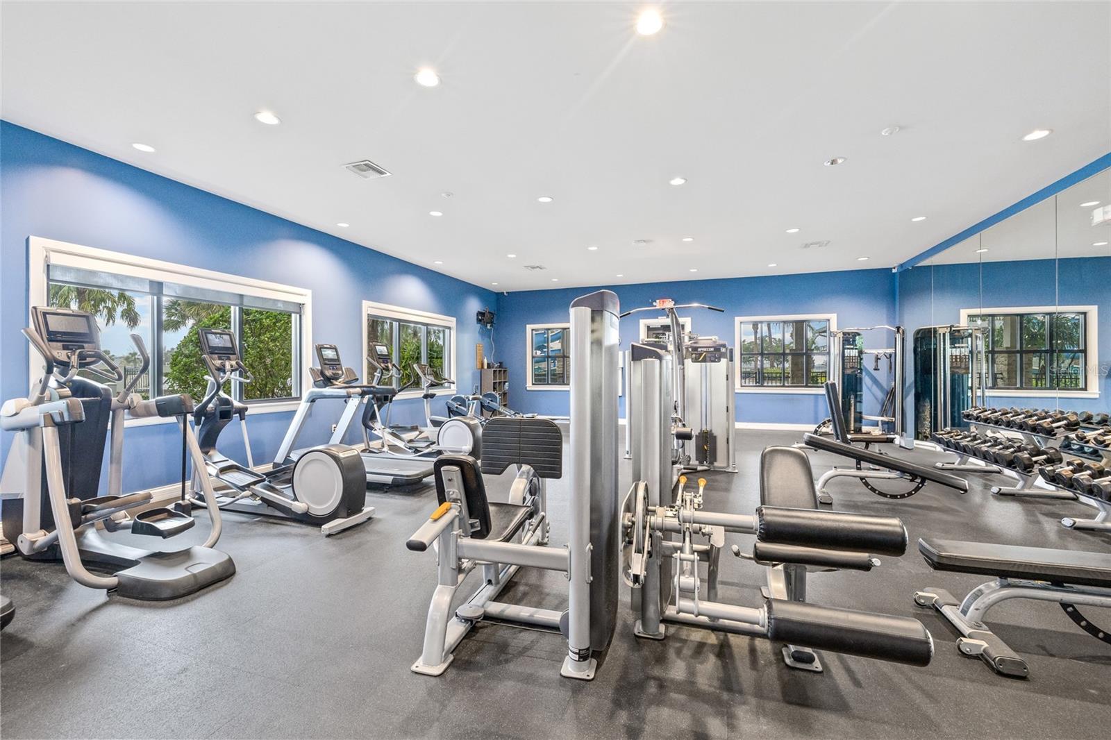 6318 SPRINGLINE PL, APOLLO BEACH, FL, 33572