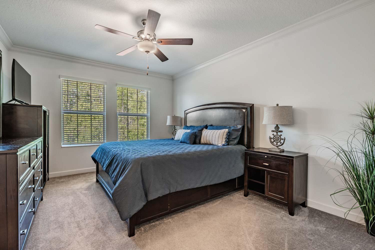 16595 SHELL BAY DR, LAND O LAKES, FL, 34638