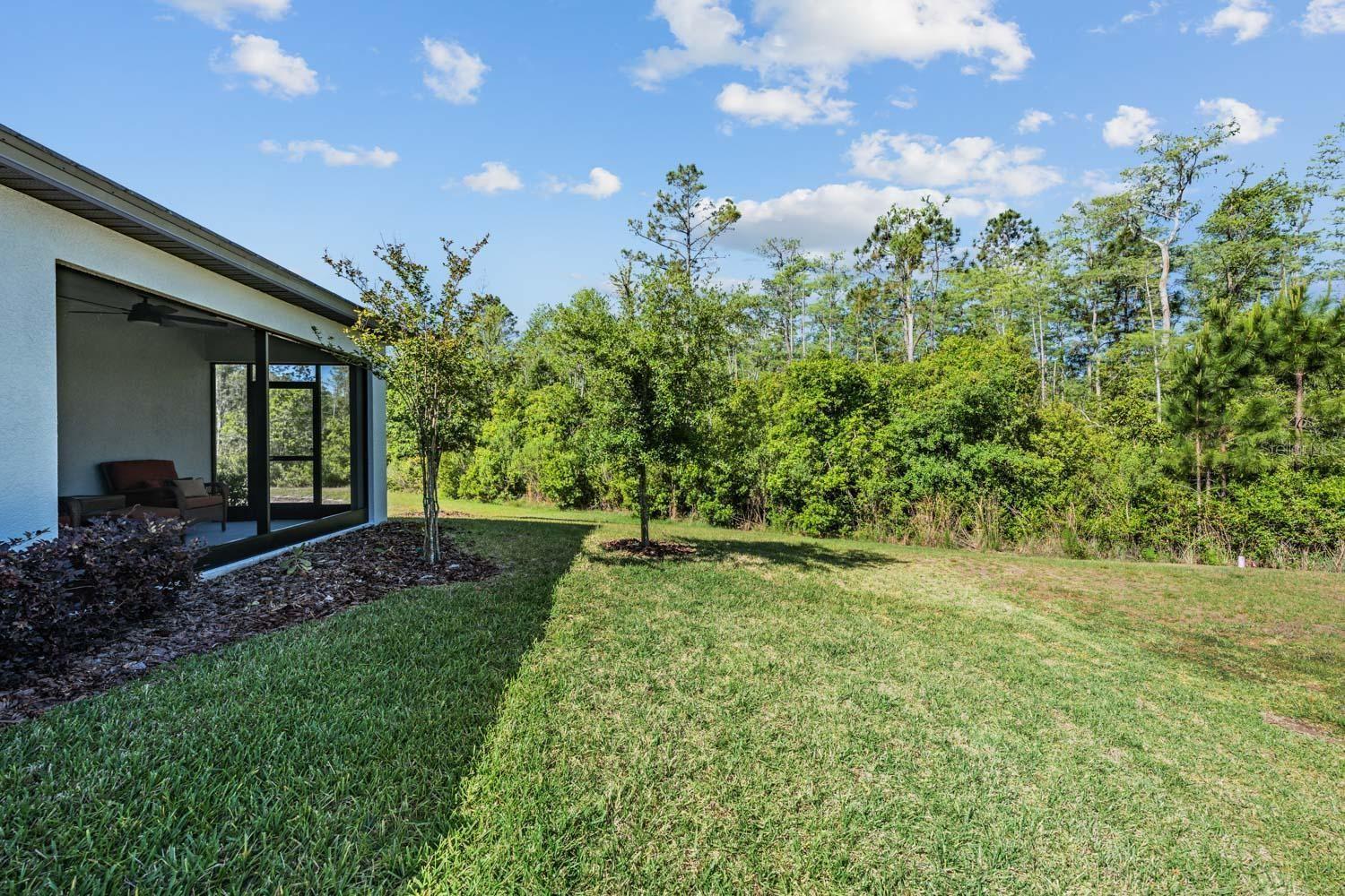 16595 SHELL BAY DR, LAND O LAKES, FL, 34638