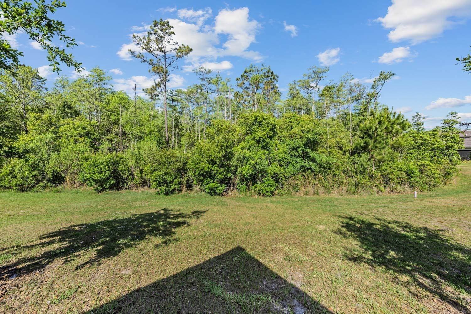 16595 SHELL BAY DR, LAND O LAKES, FL, 34638