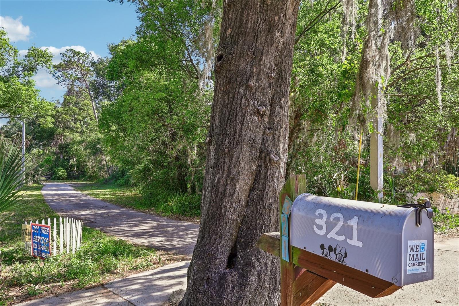 321 E 11TH AVE, MOUNT DORA, FL, 32757