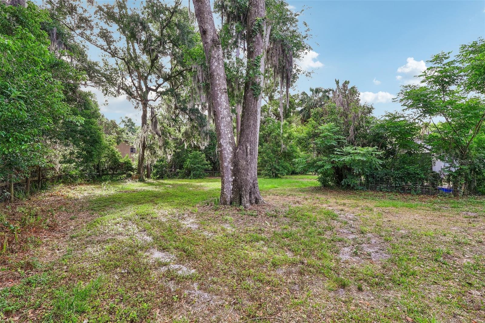 321 E 11TH AVE, MOUNT DORA, FL, 32757
