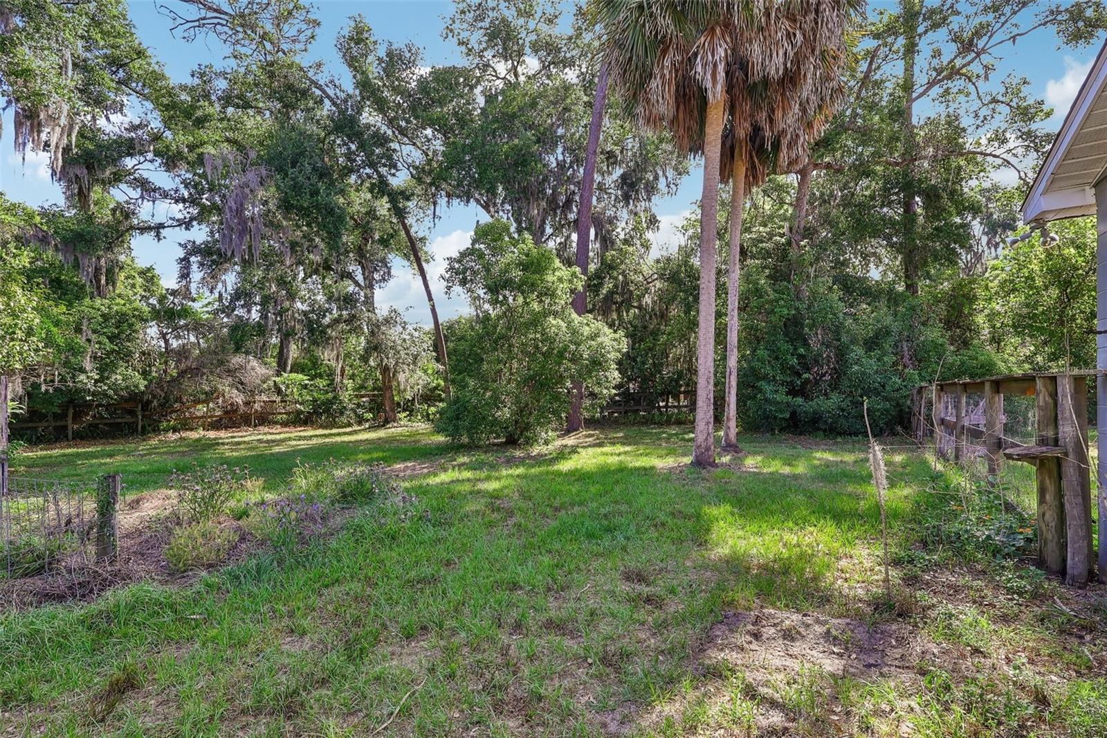 321 E 11TH AVE, MOUNT DORA, FL, 32757