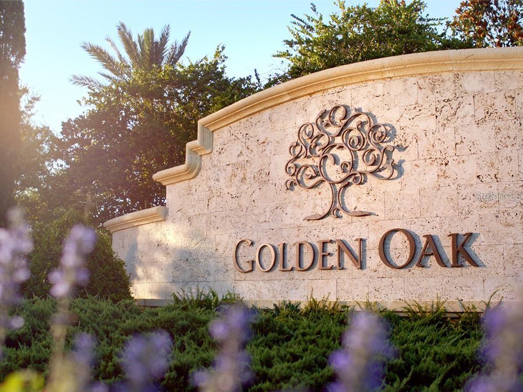 10066 MELODY TIME DR, GOLDEN OAK, FL, 32836