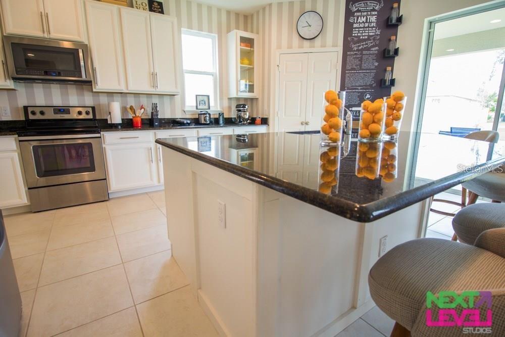 3809 MT VERNON WAY, KISSIMMEE, FL, 34741