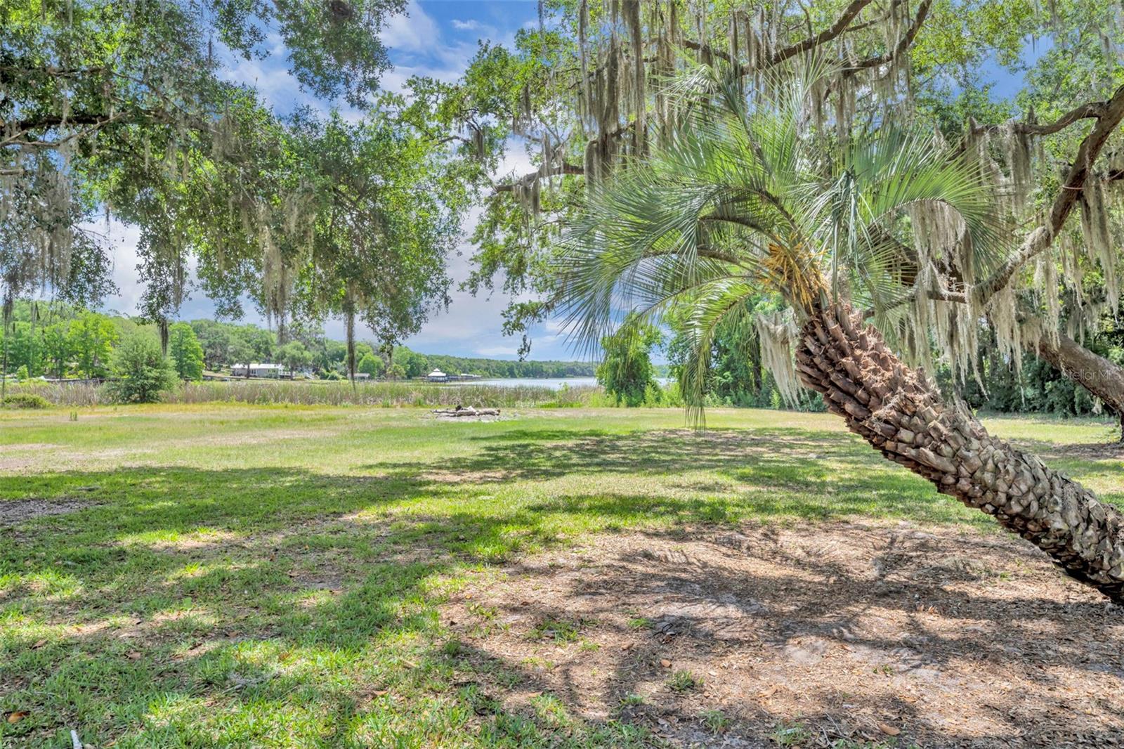13450 SE 105TH TER, OCKLAWAHA, FL, 32179