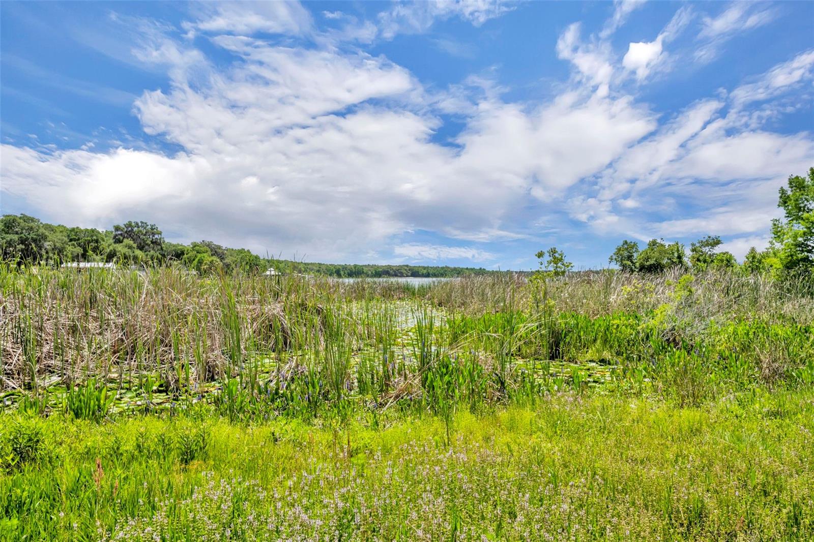 13450 SE 105TH TER, OCKLAWAHA, FL, 32179