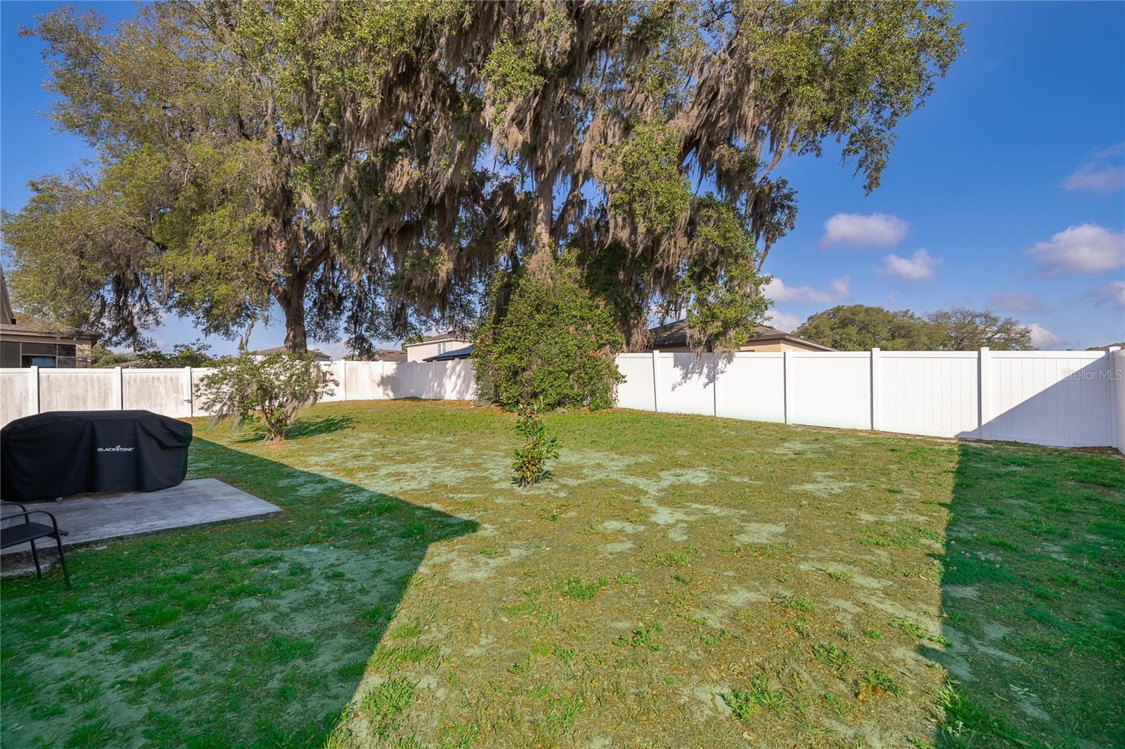 15824 SURFBIRD CT, MASCOTTE, FL, 34753