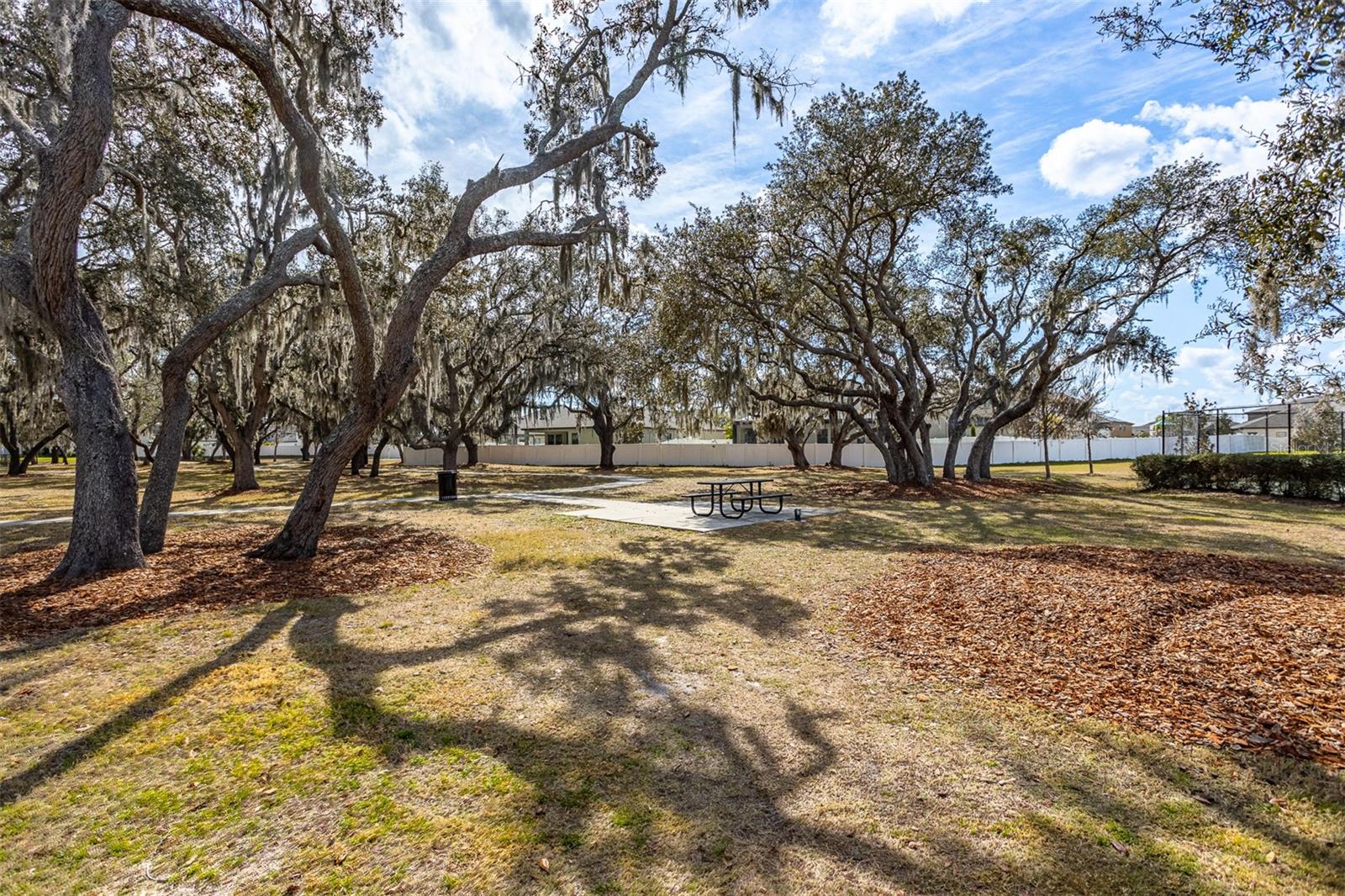 12619 HAMMOCK PARK DR, RIVERVIEW, FL, 33579
