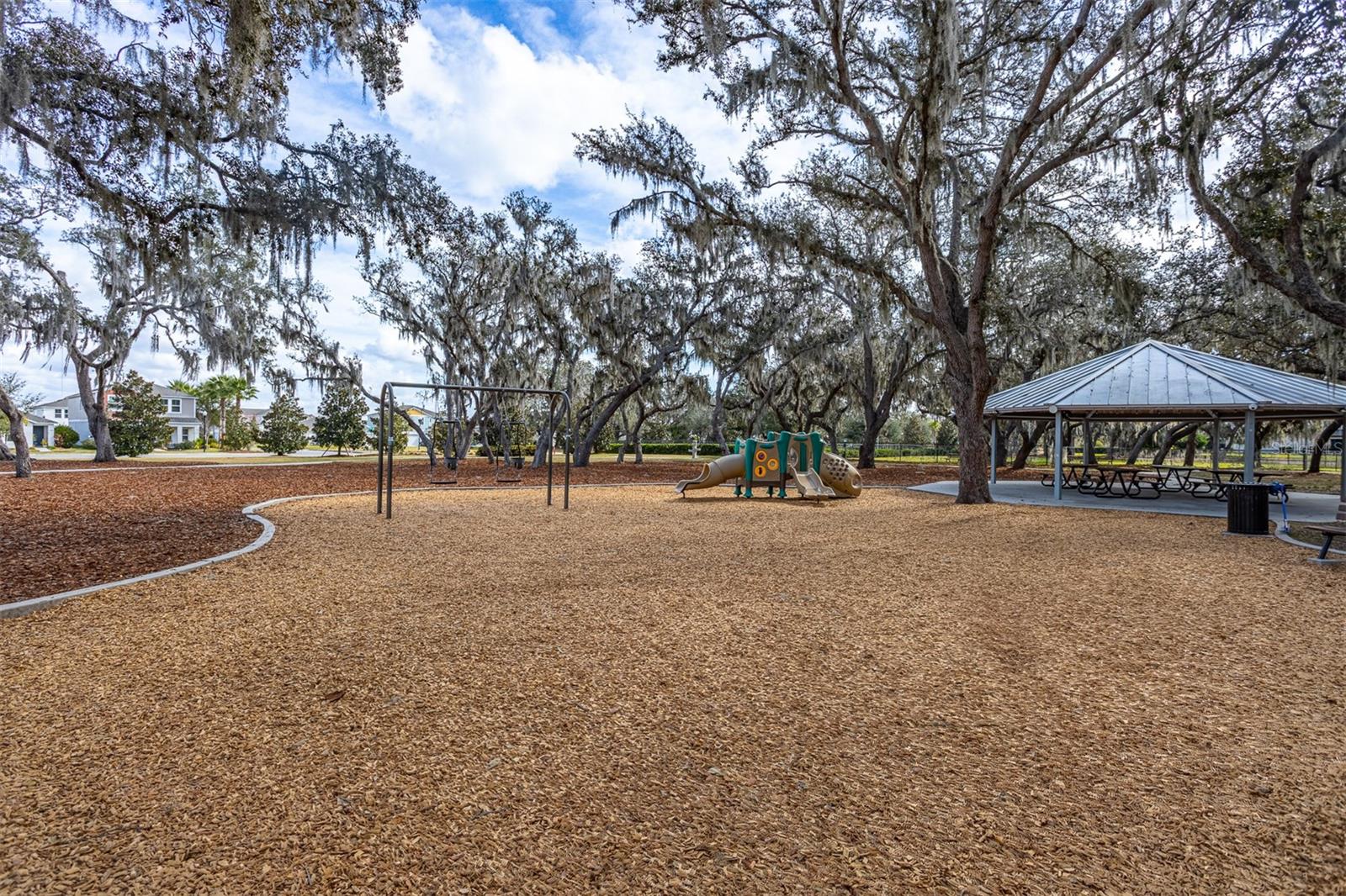 12619 HAMMOCK PARK DR, RIVERVIEW, FL, 33579