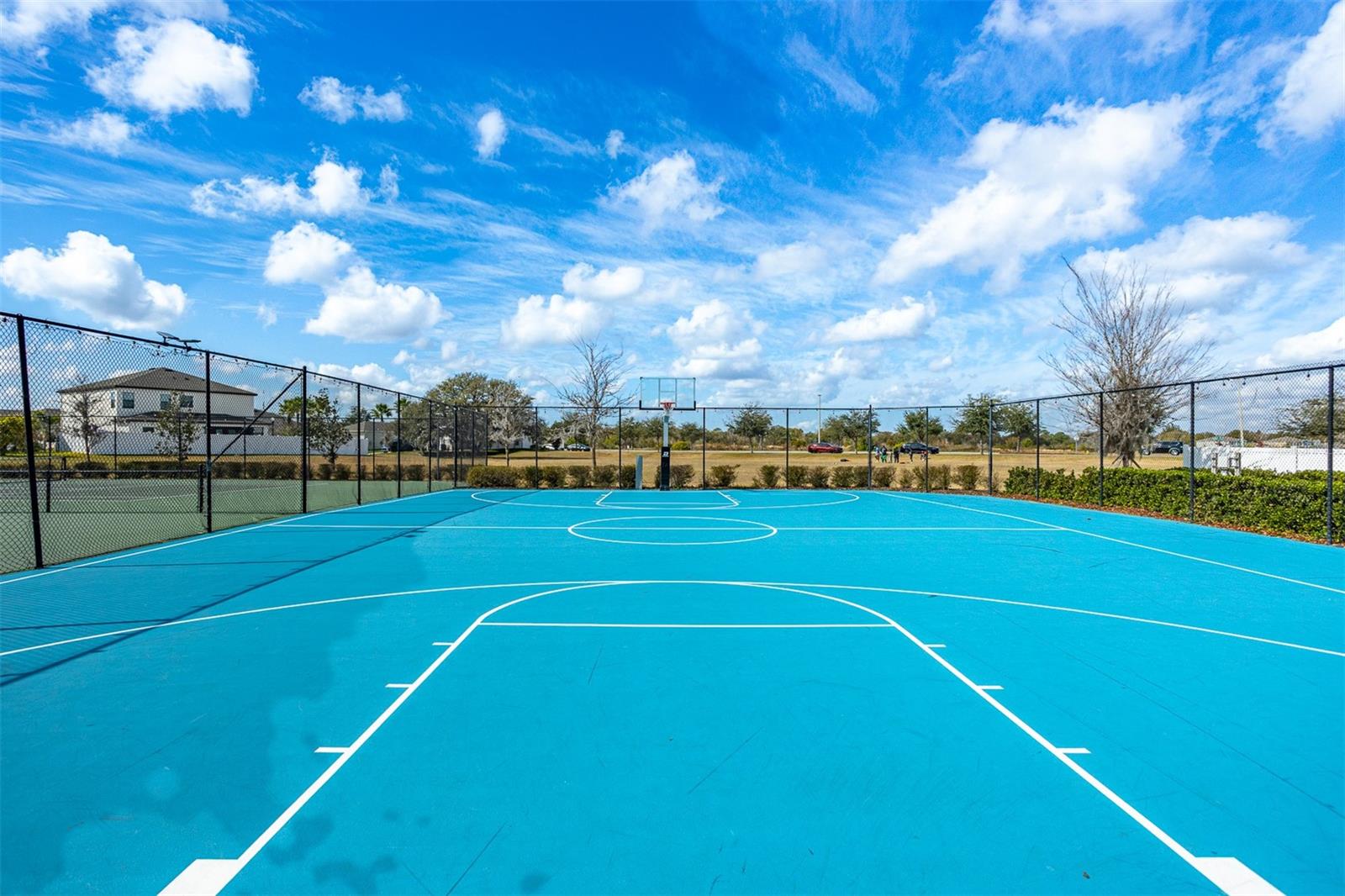 12619 HAMMOCK PARK DR, RIVERVIEW, FL, 33579