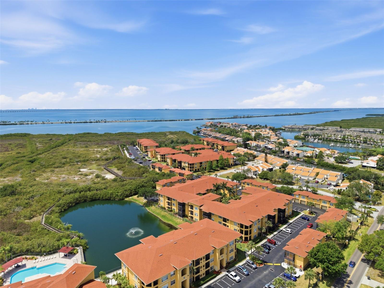 4323 BAYSIDE VILLAGE DR #312, TAMPA, FL, 33615