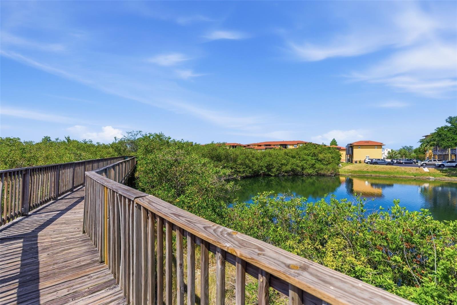 4323 BAYSIDE VILLAGE DR #312, TAMPA, FL, 33615