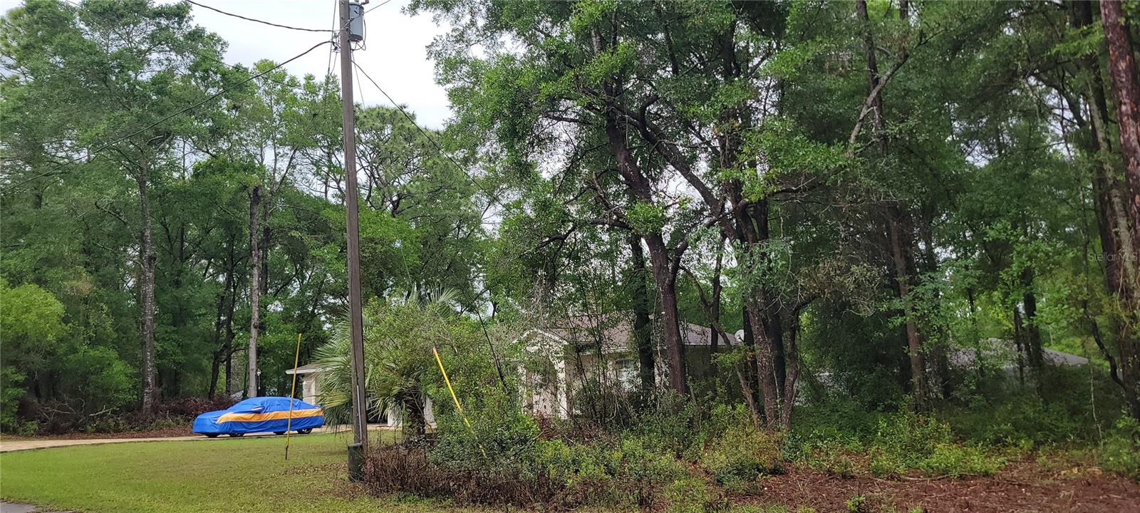 9781 N LORETTA WAY, CITRUS SPRINGS, FL, 34434