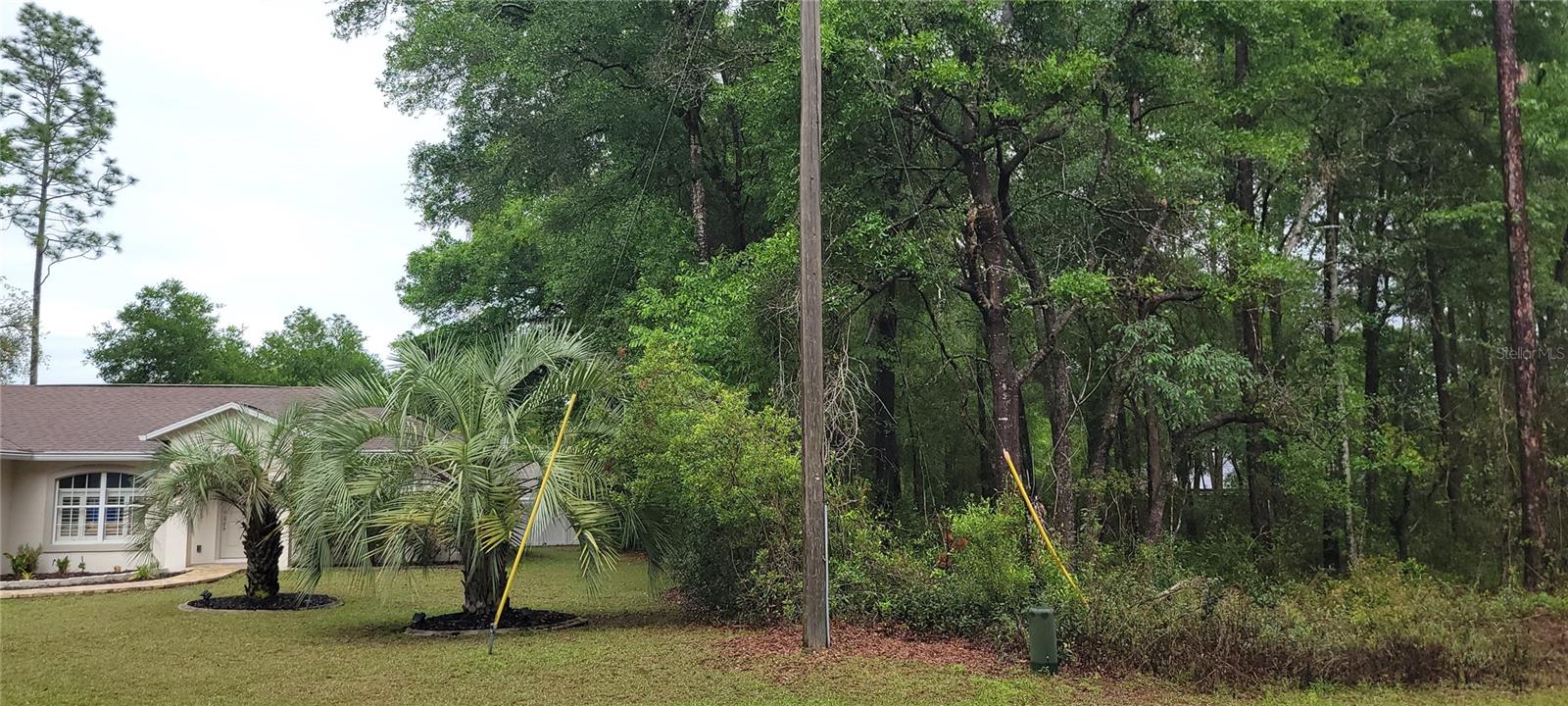 9781 N LORETTA WAY, CITRUS SPRINGS, FL, 34434