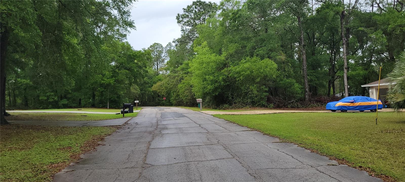 9781 N LORETTA WAY, CITRUS SPRINGS, FL, 34434