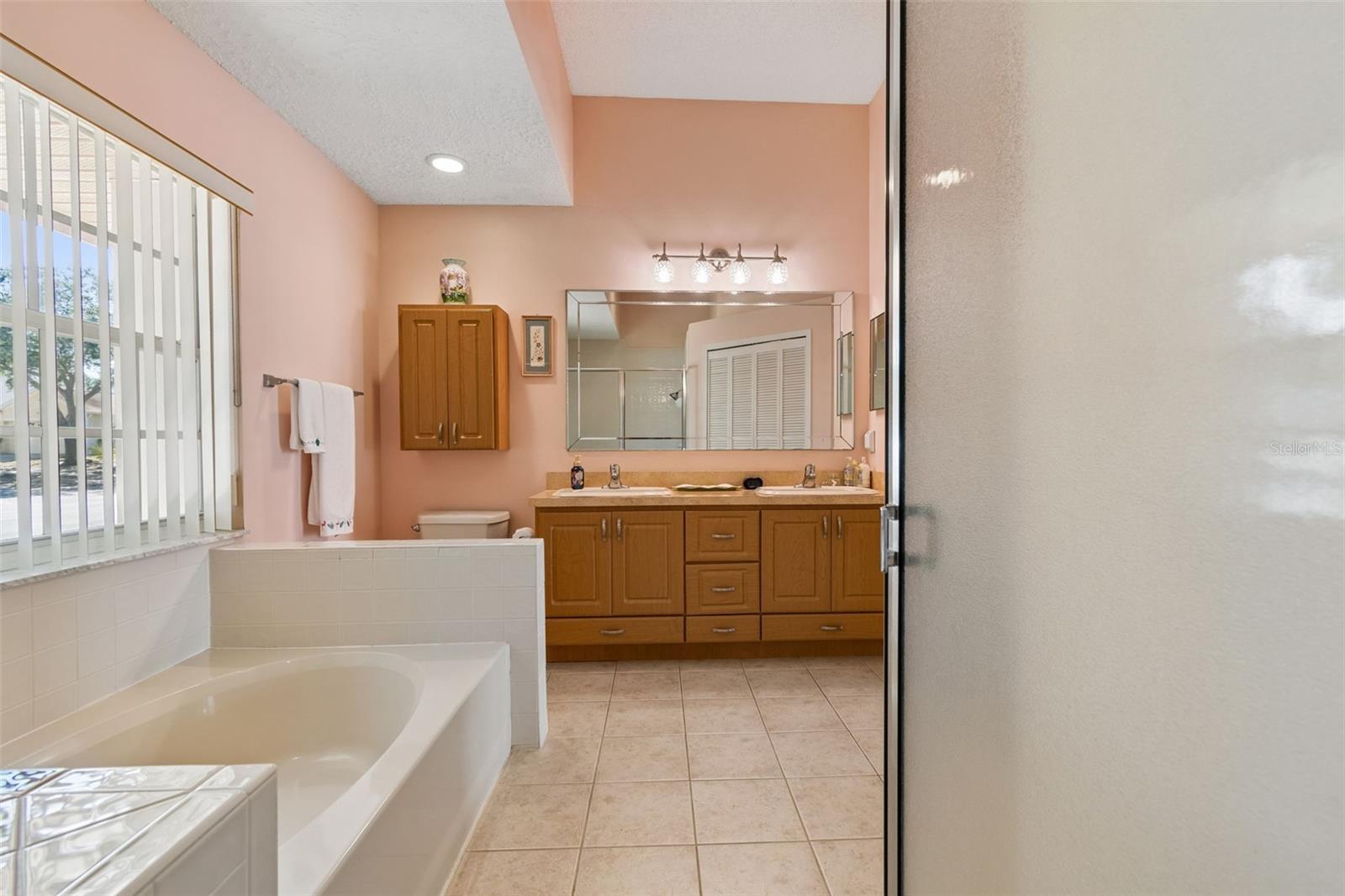 907 BRITTANY PARK BLVD, TARPON SPRINGS, FL, 34689