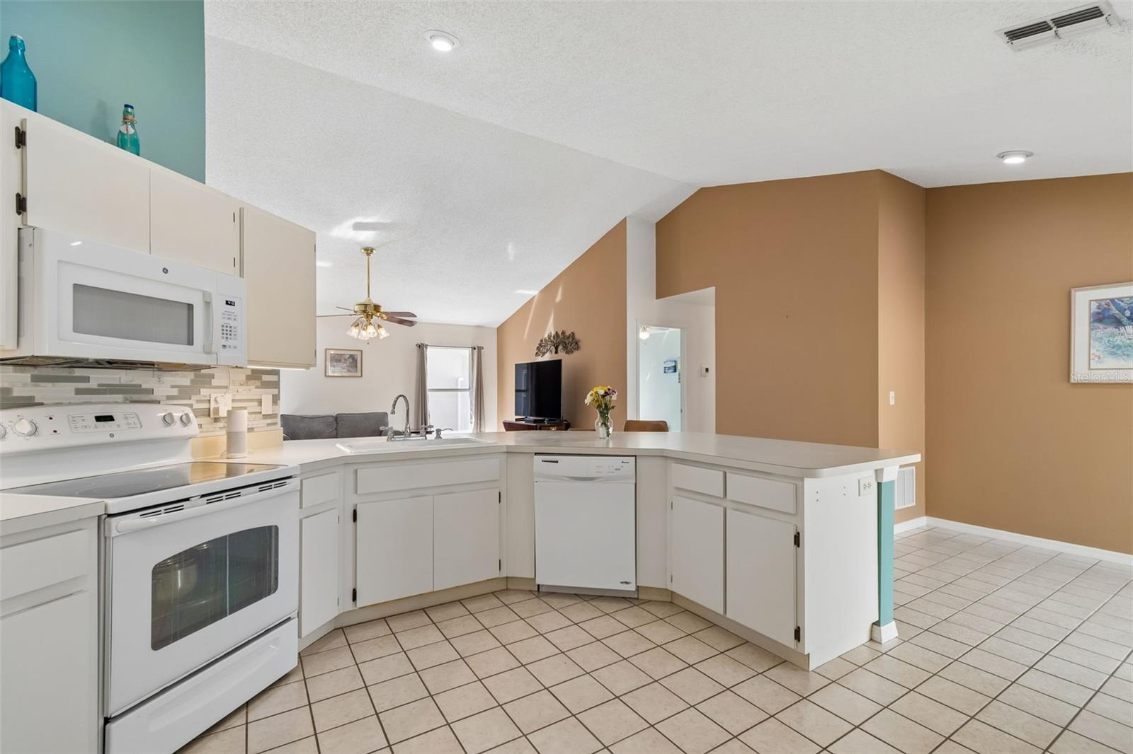907 BRITTANY PARK BLVD, TARPON SPRINGS, FL, 34689