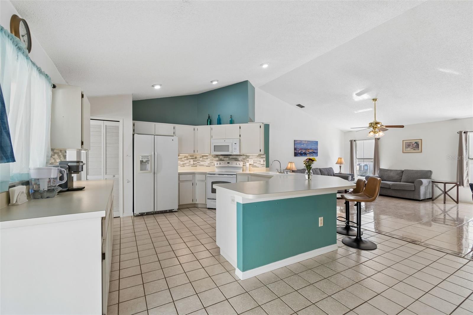 907 BRITTANY PARK BLVD, TARPON SPRINGS, FL, 34689