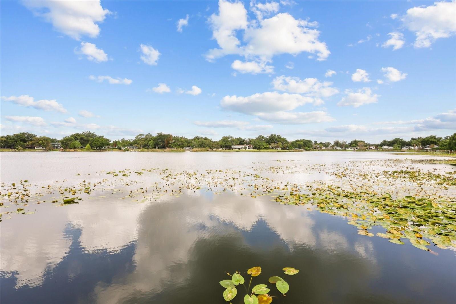 2822 BASS LAKE BLVD, ORLANDO, FL, 32806