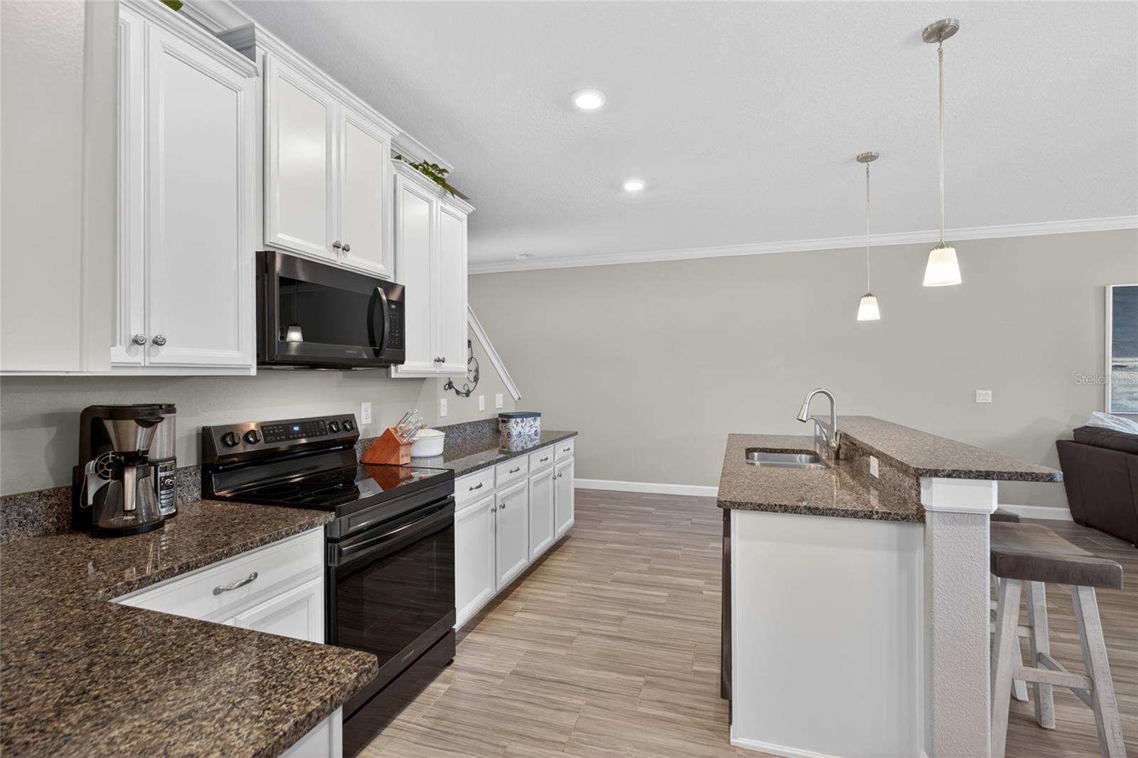 2213 CERULEAN SKY DR, LUTZ, FL, 33558