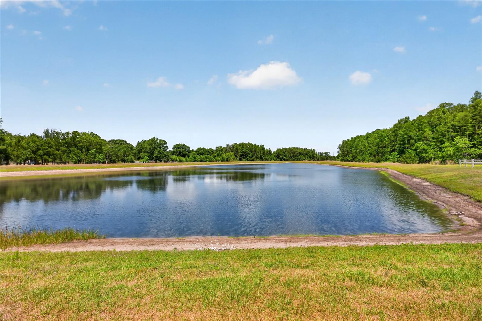 2213 CERULEAN SKY DR, LUTZ, FL, 33558