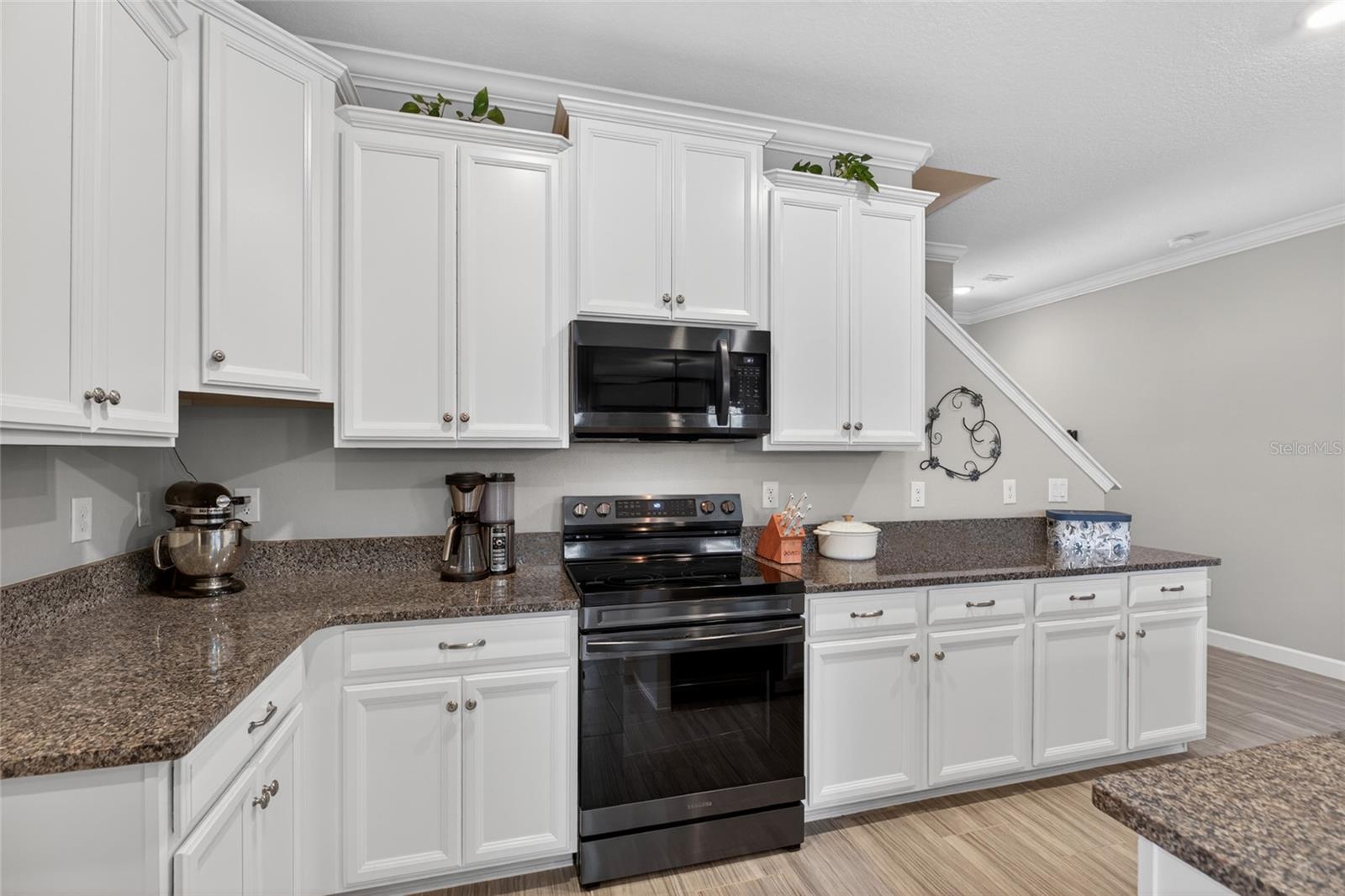 2213 CERULEAN SKY DR, LUTZ, FL, 33558