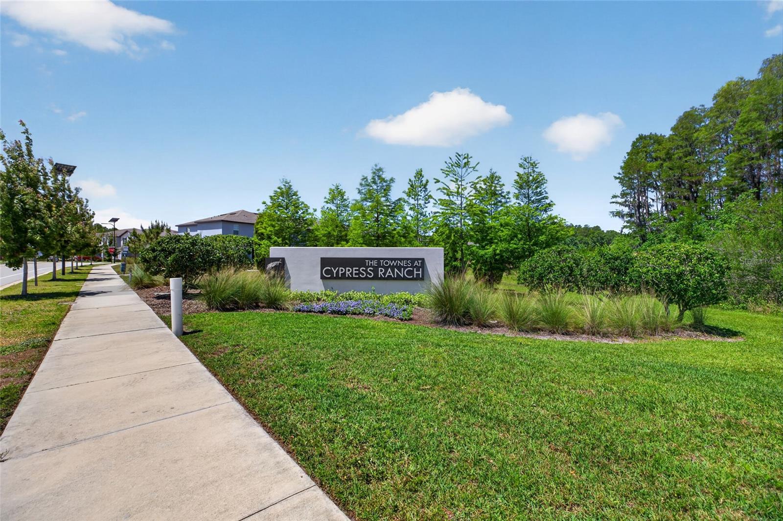 2213 CERULEAN SKY DR, LUTZ, FL, 33558