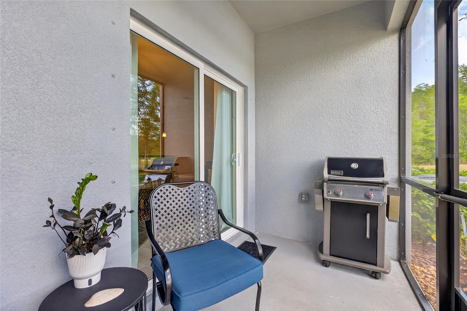 2213 CERULEAN SKY DR, LUTZ, FL, 33558