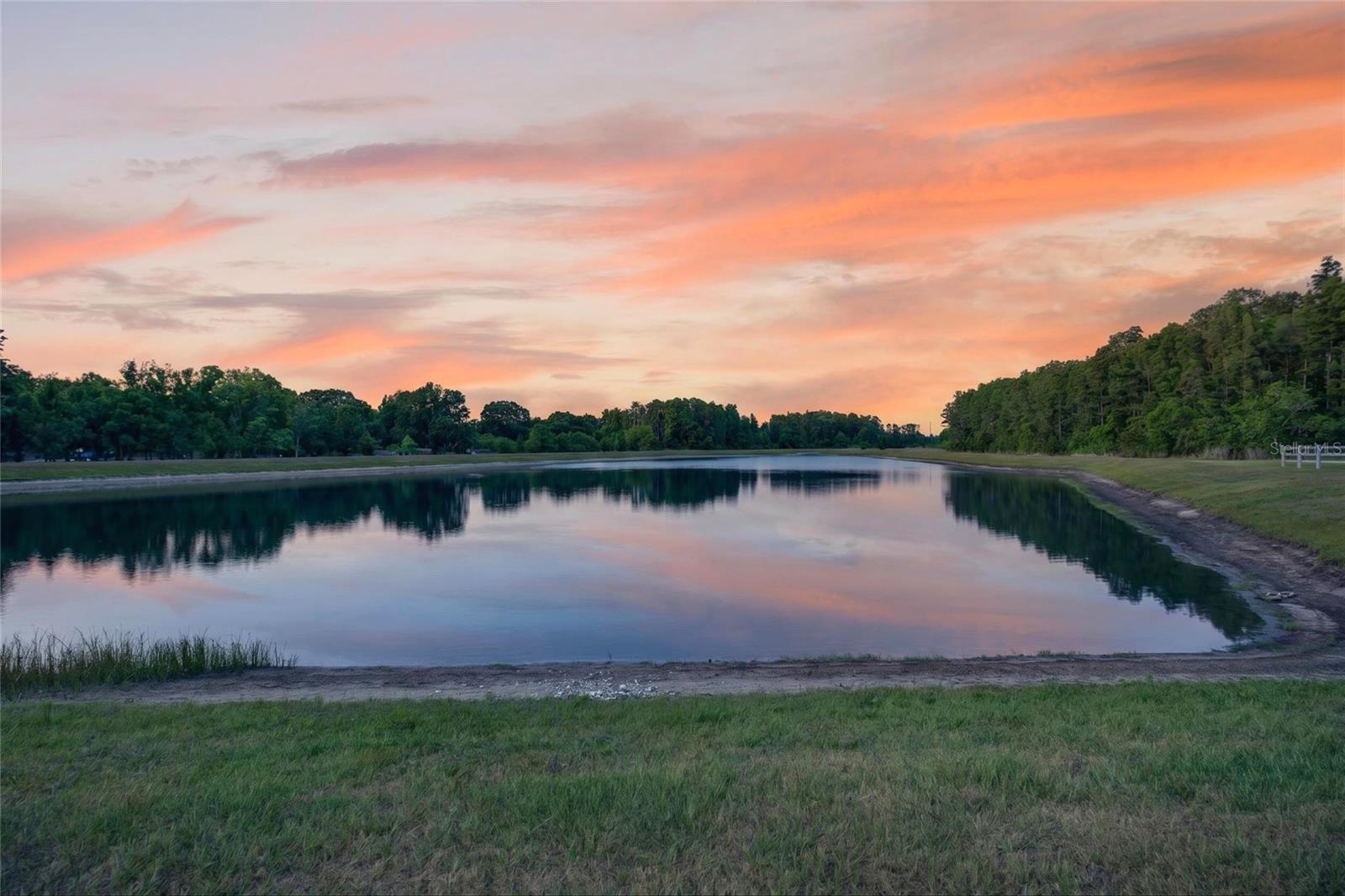 2213 CERULEAN SKY DR, LUTZ, FL, 33558