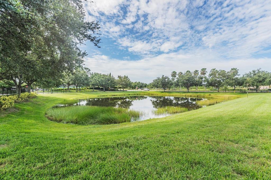 12441 FOXMOOR PEAK DR, RIVERVIEW, FL, 33579