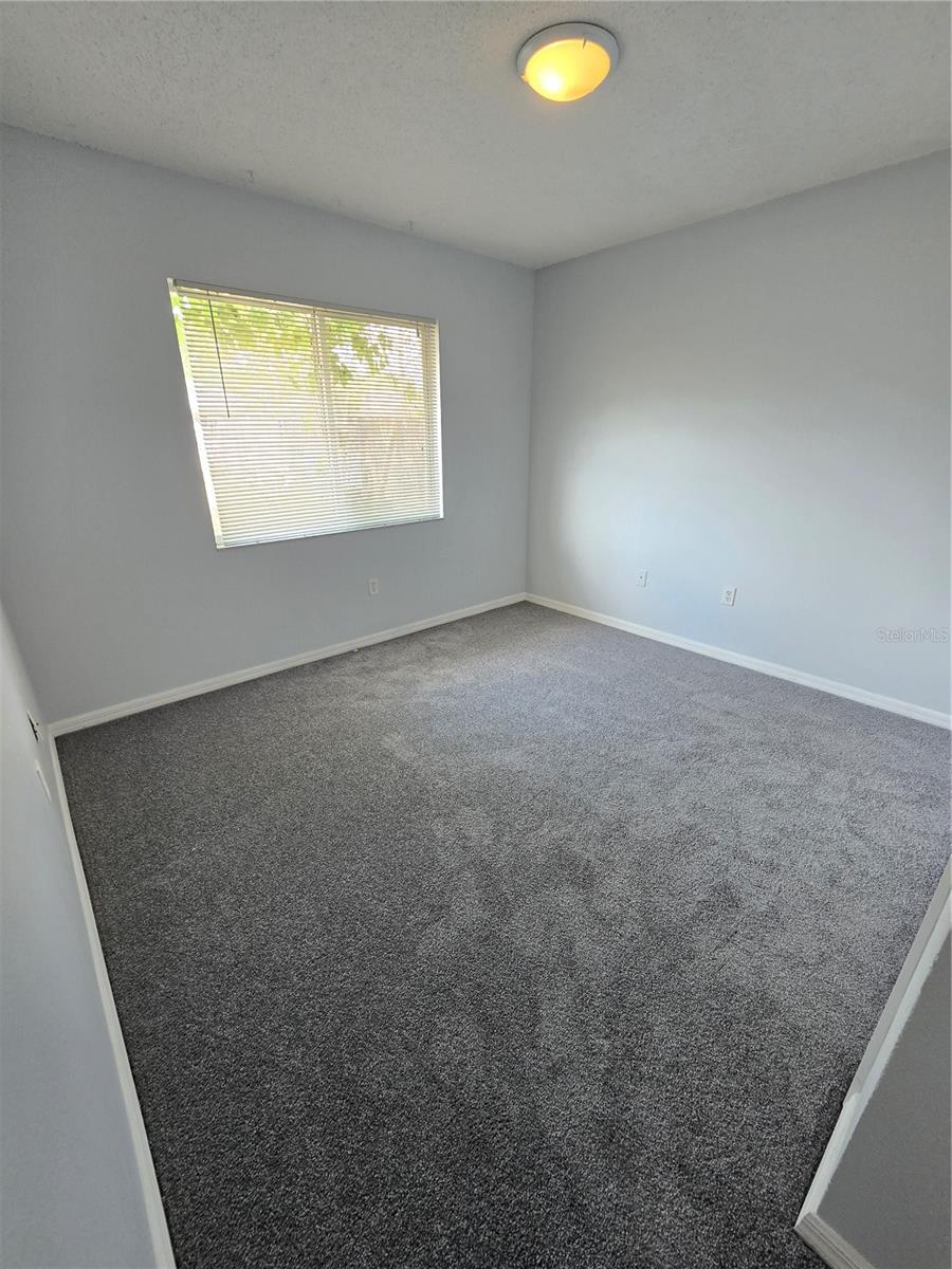 3126 PINE TOP DR, VALRICO, FL, 33594
