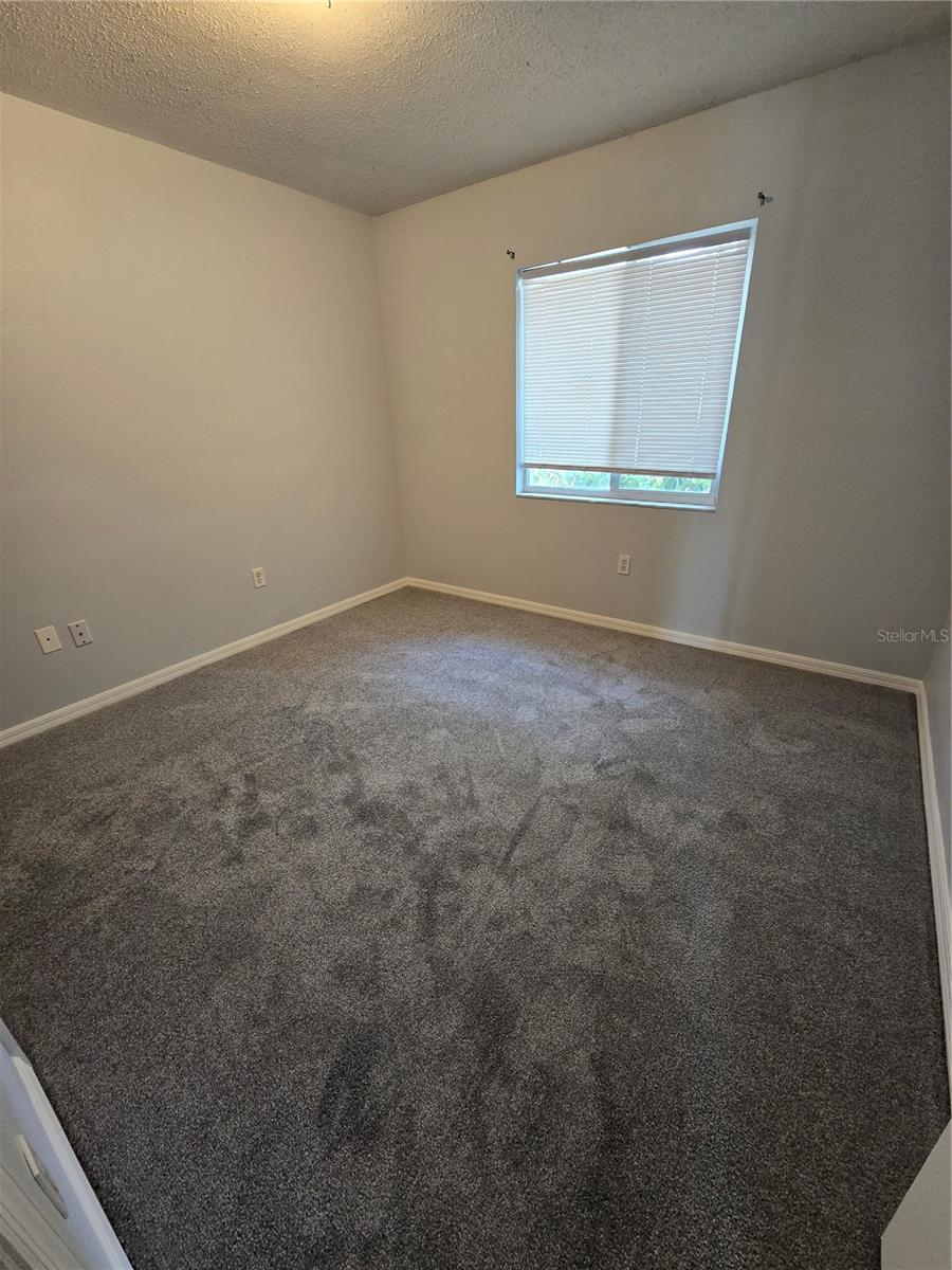3126 PINE TOP DR, VALRICO, FL, 33594