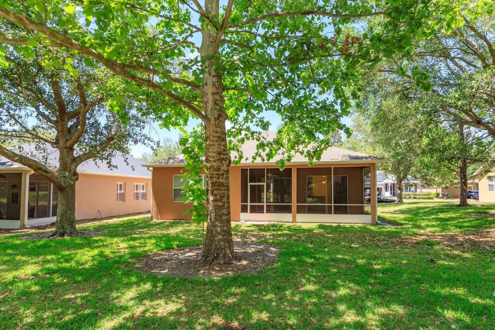 120 CREPE MYRTLE DR, GROVELAND, FL, 34736